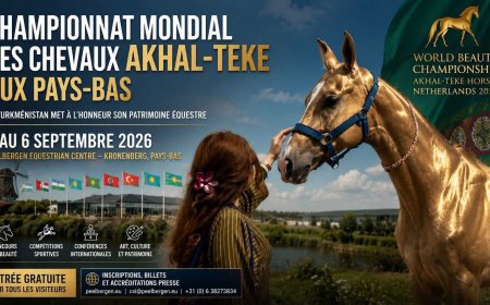 Les Pays-Bas accueillent le Championnat mondial des chevaux Akhal-Teke en septembre