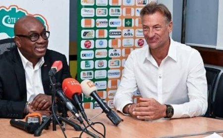 Côte d’Ivoire : Idriss Diallo (président de la FIF) donne les raisons du choix d'Hervé Renard à la tête des Eléphants