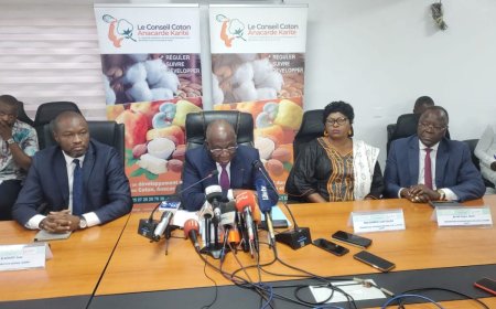 Côte d’Ivoire-Filière karité : Ehui Kouassi Jérôme donne les différents prix au kilogramme de la campagne 2026-2027
