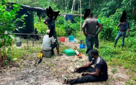 Côte d'Ivoire : cinq personnes interpellées pour un projet de lotissement clandestin dans la forêt classée d’Audouin