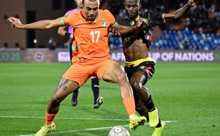 Match amical : les Éléphants et les Lions Indomptables se retrouvent en octobre