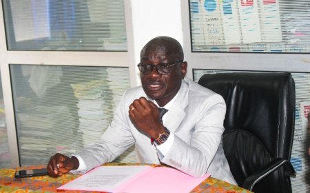 Côte d’Ivoire-Orpaillage illégal:  "Des poissons contaminés au mercure dans nos assiettes" (DG CIAPOL)