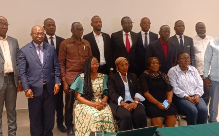 Côte d'Ivoire : le Comité national des indications géographiques prépare une labellisation du Beurre de Karité ivoirien