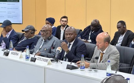 COP17 : une coalition africaine contre l’exploitation minière illégale lancée à Oulan-Bator