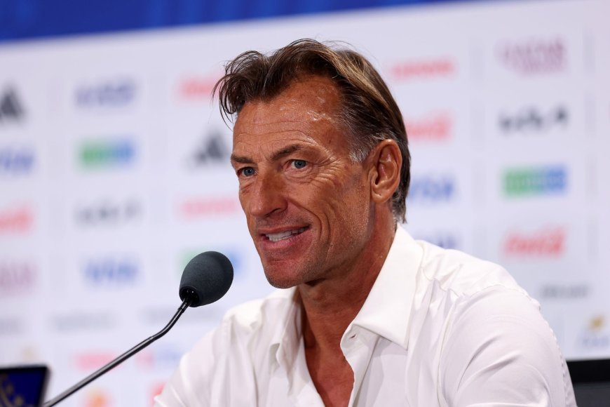 Côte d’Ivoire : Hervé Renard remplace Emerse Faé à la tête des Éléphants(officiel)