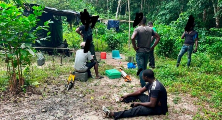 Côte d'Ivoire : cinq personnes interpellées pour un projet de lotissement clandestin dans la forêt classée d’Audouin