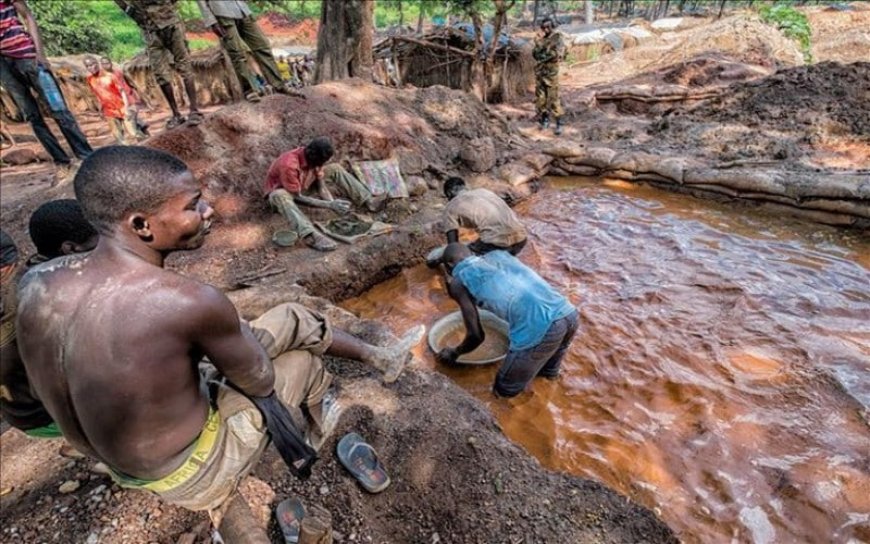 Orpaillage illégal : Action Justice appelle à une mobilisation face aux impacts désastreux du phénomène sur l’environnement