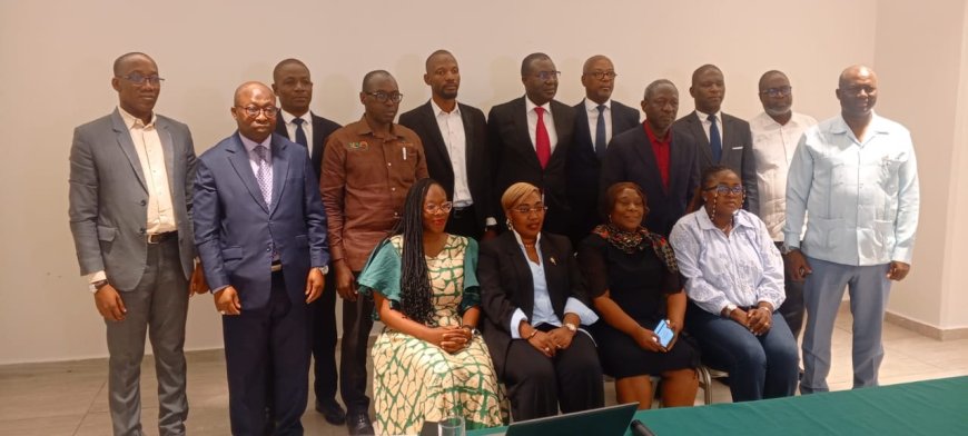 Côte d'Ivoire : le Comité national des indications géographiques prépare une labellisation du Beurre de Karité ivoirien