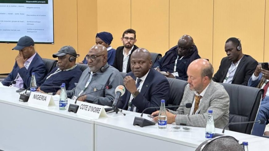 COP17 : une coalition africaine contre l’exploitation minière illégale lancée à Oulan-Bator