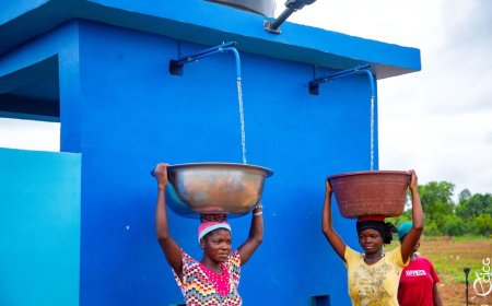 Côte d’Ivoire :  les populations de Mamadouvogo accèdent à l’eau potable grâce à un forage alimenté en énergie solaire