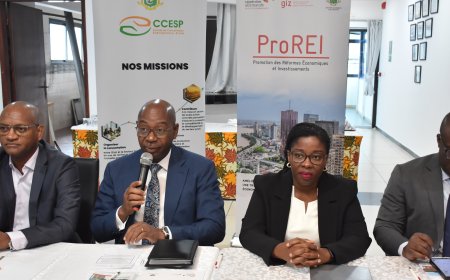 Côte d’Ivoire : des organisations professionnelles renforcent leurs capacités sur le dialogue public-privé et le plaidoyer économique