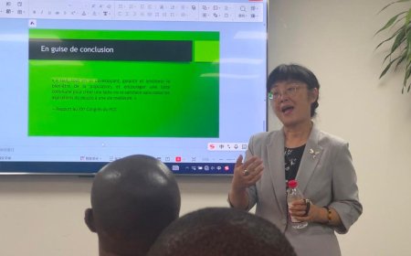 Li Hongfeng, Directrice de l'Institut d'Études Africaines : « On connaît très peu la Côte d'Ivoire en tant que destination touristique »