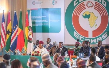 Environ 1000 participants sont attendus au Sommet sur l’intégration et l’investissement en Afrique de l’Ouest à Freetown