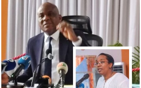 PPA-CI : un mandat d’arrêt lancé contre Me Habiba Touré(Procureur Braman Koné)