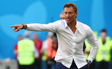 Eléphants/Hervé Renard : « C’est un nouveau cycle qui commence »