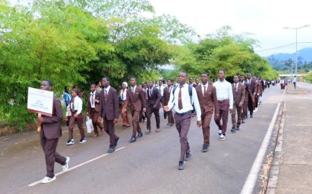 Côte d'Ivoire : le taux d’insertion professionnelle des diplômés avoisine 80 %(Lacina Coulibaly, président de l’UP-Man)