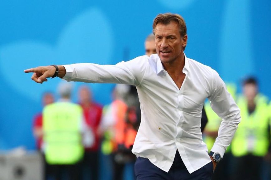 Eléphants/Hervé Renard : « C’est un nouveau cycle qui commence »
