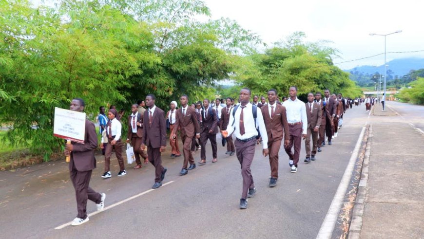 Côte d'Ivoire : le taux d’insertion professionnelle des diplômés avoisine 80 %(Lacina Coulibaly, président de l’UP-Man)