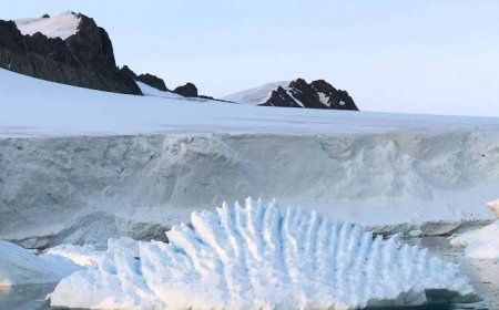 Changement climatique : la fonte du Groenland pourrait réduire de moitié les productions céréalières en Afrique de l’Ouest