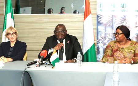 Côte d’Ivoire : 731,6 milliards FCFA d’investissements envisagés dans la filière rizicole